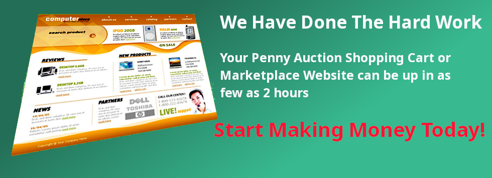 Penny Auction Software Services